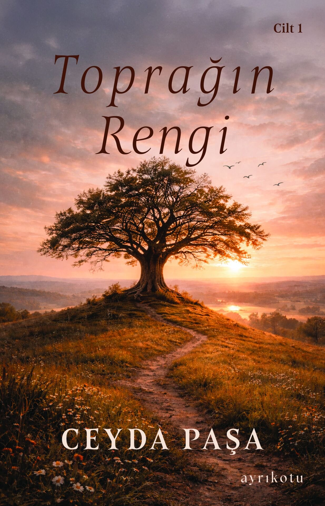 Toprağın Rengi