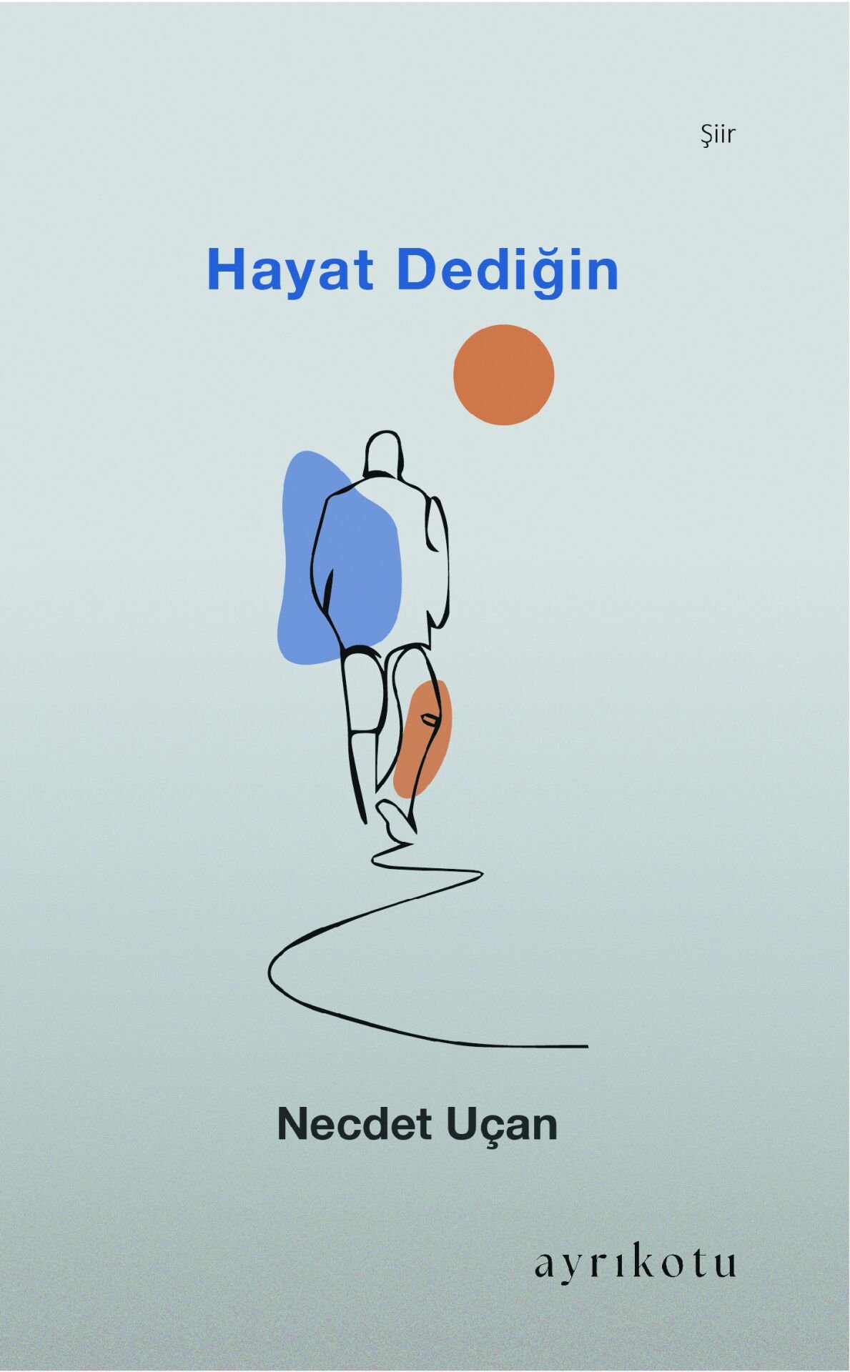 Hayat Dediğin